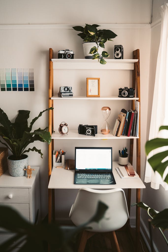 A stylish home office setup featuring a desk, plants, and vintage cameras.