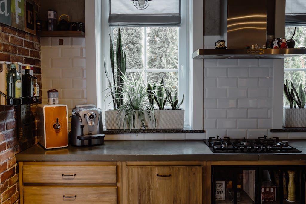 Contemporary kitchen interior with plants, gas stove, and coffee maker.