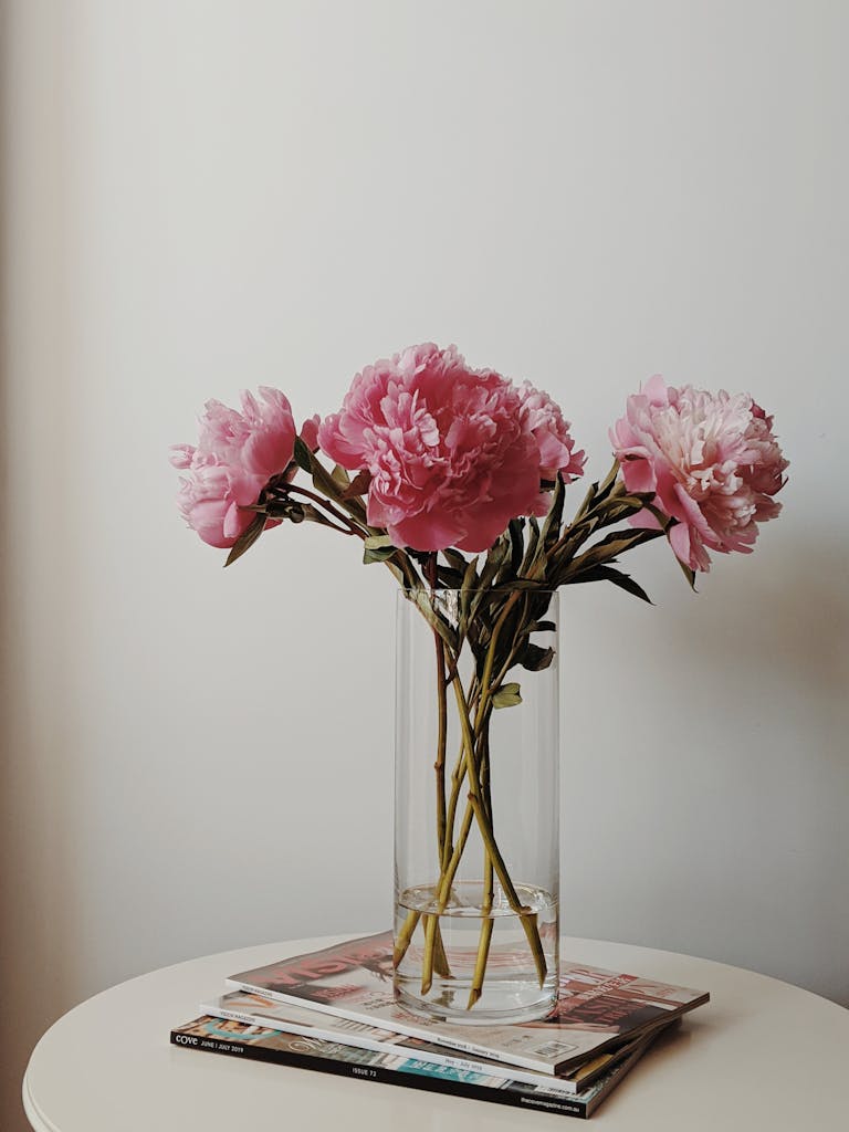 Stylish interior decor featuring blooming pink peonies in a clear vase adding elegance to any room.