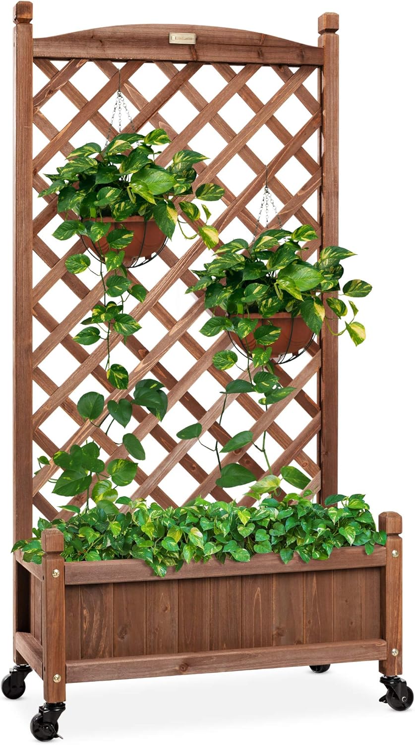 Mobile Outdoor Raised Garden Bed for Climbing Plants