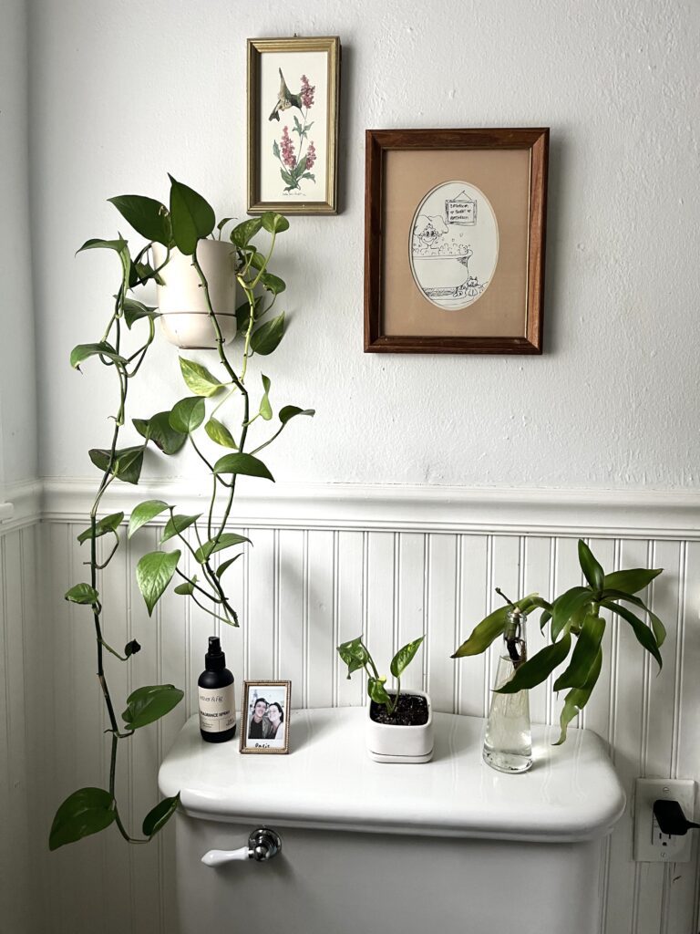 20 Above Toilet Decor Ideas That Instantly Elevate Your Bathroom