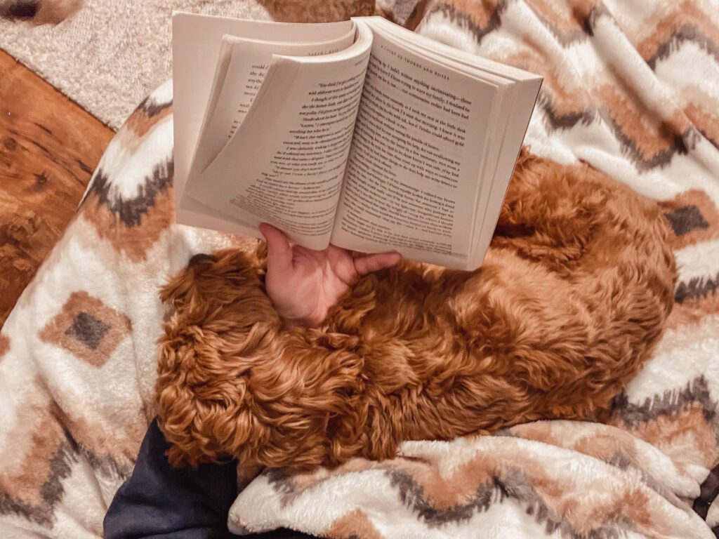 Style home for winter post Christmas